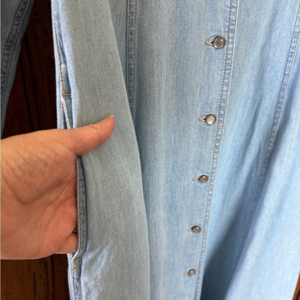 Vintage LizWear Denim Maxi Dress embroidered Pear buttons country western - Picture 8 of 13